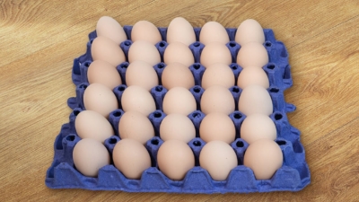 Œufs frais Al hor - x 30