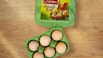 Œufs frais Al hor - x 6